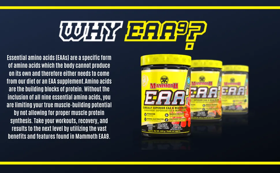 Mammoth EAA9 Performance EAA + BCAA Formula Full Spectrum EAAs 6g BCAA Blend High Leucine for Muscle Recovery Electrolytes: Coconut Water + Himalayan Sea Salt Sugar Free Zero Calorie 30 Servings 30 servings Fruit Punch Blast 390 gram - Mammoth EAA