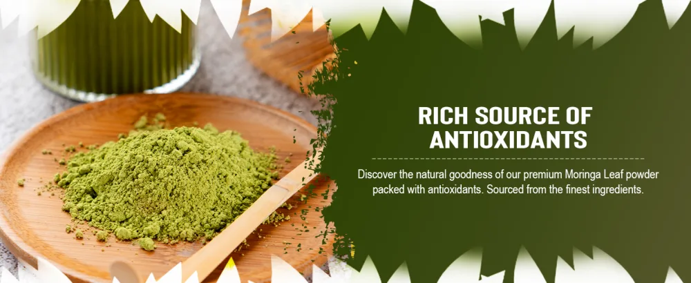Grenera Organic Moringa Leaf Powder 240 Grams - Source of antioxidants/Source d'antioxydants - Grenera Moringa Leaf powder