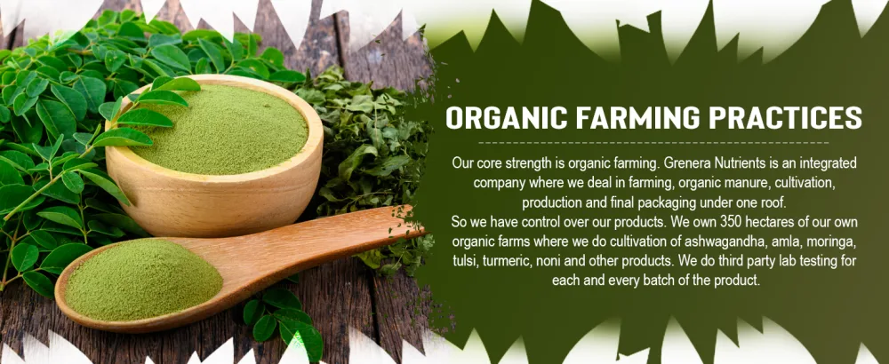 Grenera Organic Moringa Leaf Powder 240 Grams - Source of antioxidants/Source d'antioxydants - Grenera Moringa Leaf powder