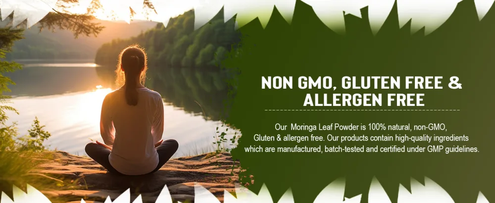 Grenera Organic Moringa Leaf Powder 240 Grams - Source of antioxidants/Source d'antioxydants - Grenera Moringa Leaf powder