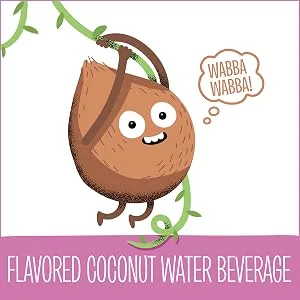 Creative Roots Peach Mango Naturally Flavored Coconut Water Kids Beverage (10 ct Pack, 8.5 fl oz Bottles) - product information 5