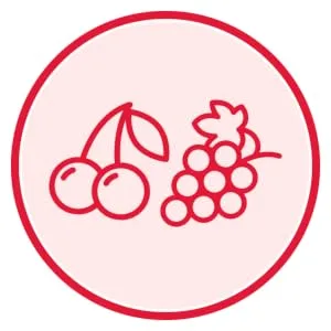 Tylenol Infant Fever Teething and Pain Reliever for Baby Grape Suspension Medicine 24mL Grape Pain Reliever - Tylenol Infant