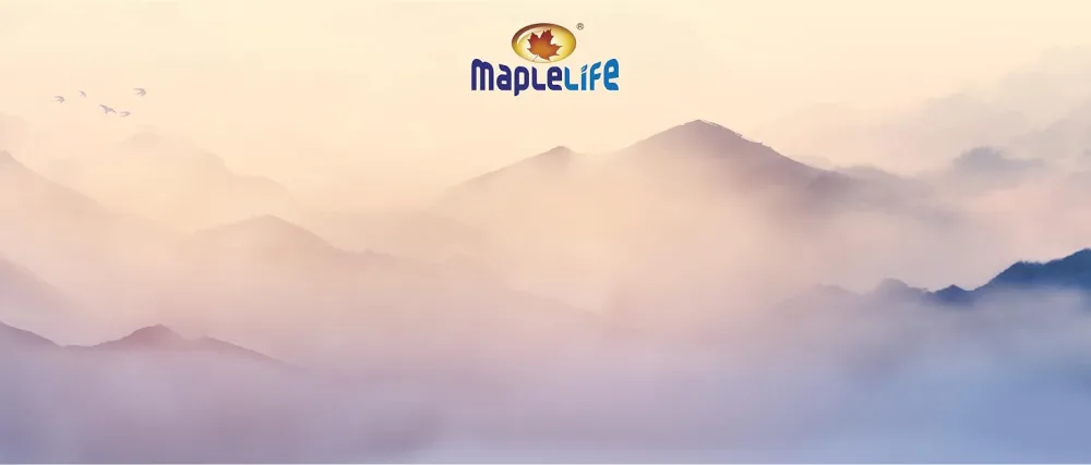 MapleLife Vision Chewables for Kids and Adolescents Milk Flavour 90 Chewable Tablets - product information 1