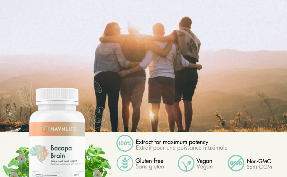 HAVN Life Bacopa Brain - Bacopa Monnieri Capsules Memory Support - Supplement for Cognitive Function Support - Non-GMO 60 Vegan Capsules - Bacopa Main Image