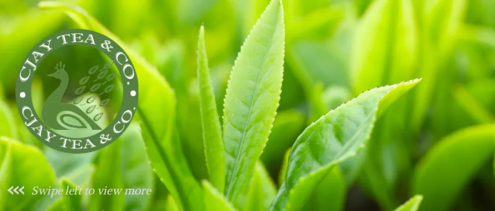Vanilla Masala Chai | Loose Leaf tea | 150 grams - Logo and tea leaf background