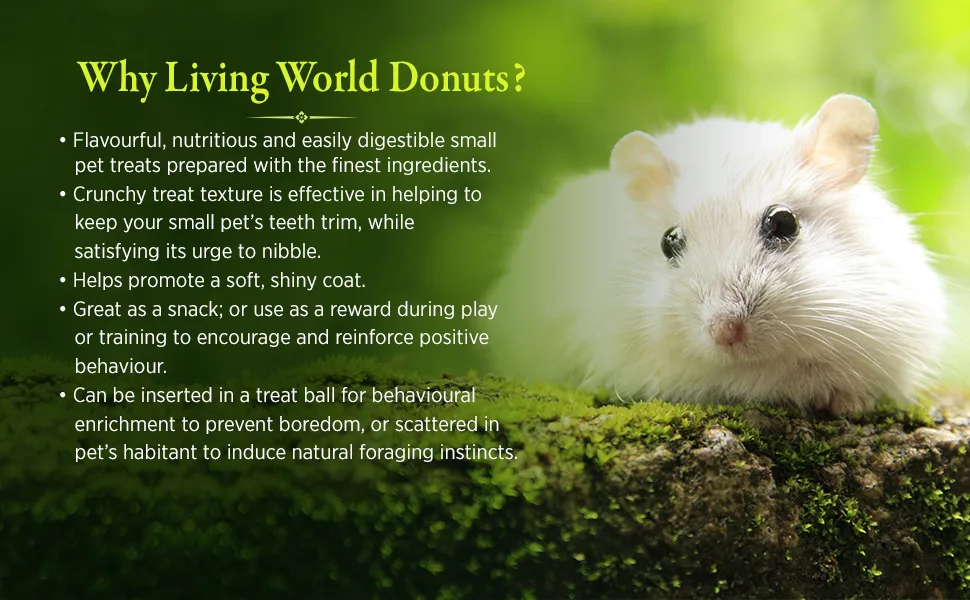 Living World Small Animal Donuts - 120 g (4.2 oz) - donuts