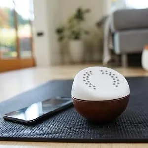 Core Meditation Trainer: Meditation Device for Relaxation, Stress Relief, and Anxiety Relief with Built in Mental Health Wellness App (Premium) - Connect