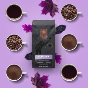 Copper Moon Whole Bean Coffee, Medium Roast, Southern Pecan Blend, 2 Lb 2 Lbs. Southern Pecan - keto coffee, ketogenic coffee, best coffee, awesome coffee