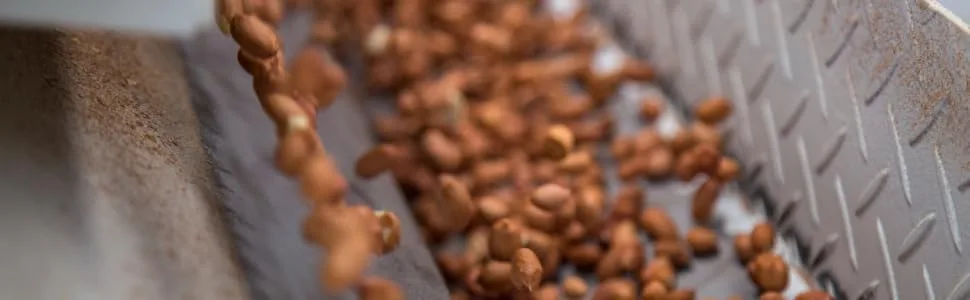 Compass Seedless Thompson Raisins Kosher Certified 1 300 Grams - Sweet and Healthy Snacking Delight - Our Capabilities