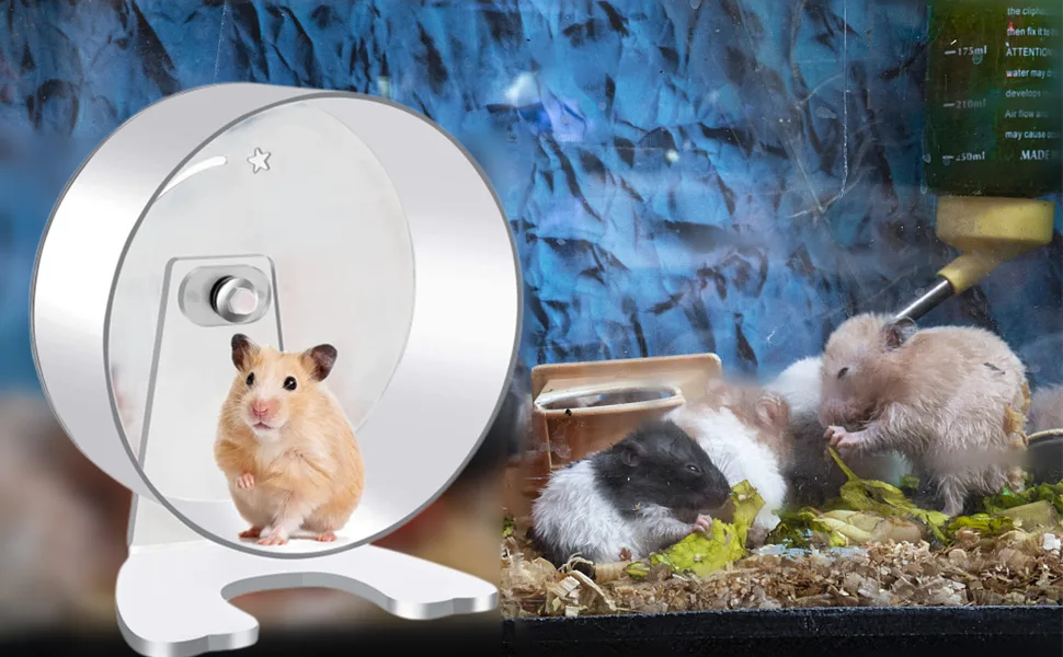 MIDOGAT Hamster Wheel Hedgehog Wheel Silent Hamster Wheel for Hamsters Gerbils Hedgehogs and Small Animals - product information 8