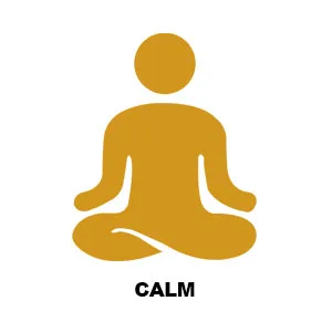 HCF Mind Boosting Supplement with Amino Acids Vitamins & Minerals for Improved Attention Focus Concentration and Cognitive Performance. (2-Pack) - natural calm stress relief supplement calm aid calm supplements calmer goodbye stress
