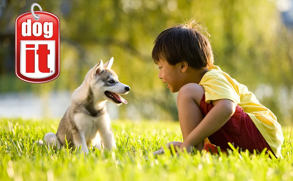 Dogit Pressed Rawhide Knuckle Bone Giant (31cm 400-420g) | Extra Large (20cm 170-180g) 2-Pack - product information 1