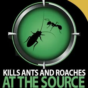 Combat Max Ant and Roach Killer Quick Kill Foam Spray, 17.5 Ounce - product information 4