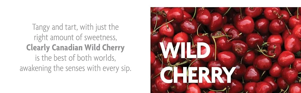 Clearly Canadian Wild Cherry Sparkling Spring Water Beverage, Natural & Carbonated, Flavored Seltzer Water, 1 Case (12 Bottles x 325mL) - clearly canadian wild cherry