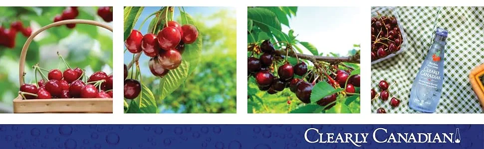 Clearly Canadian Wild Cherry Sparkling Spring Water Beverage, Natural & Carbonated, Flavored Seltzer Water, 1 Case (12 Bottles x 325mL) - clearly canadian wild cherry