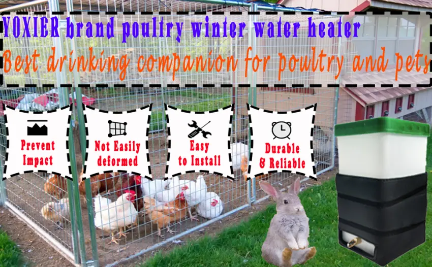 YOXIER Heated Kettle for Rabbits Small Animals Low Power Consumption Animal Water Bottle No Drip Automatic Thermo Dispenser Pet Fountain Rabbit Hamster Black - product information 1