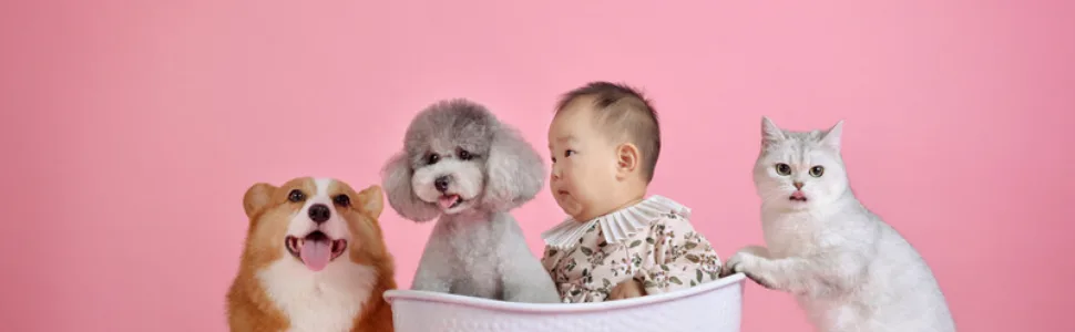 10kg/1g Digital Pet Scale with 3 Weighing Modes Pet Scale to Measure Dog Multi-Function Baby Scale for Weighing Small Pet - Digital Pet Scale