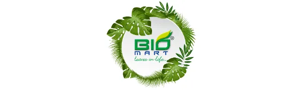 Eco Friendly Disposable Leaf Bowls- 3" Square Bowls| Pack of 25 25 3" Square Bowls - bio mart leaves in life
