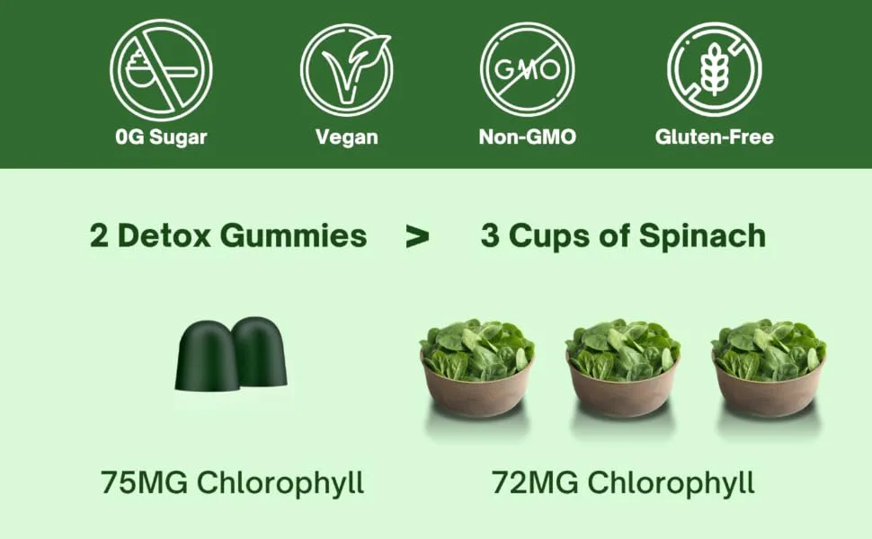 Chlorophyll Gummies  Energy Boost | Immune System Support | Internal Deodorant | With Ashwagandha | 0 Sugar, Vegan, 50% More Potent than (Pills, Liquid, Water Drops, Tablets, or Capsules) Apple Taste - 2 detox gummies