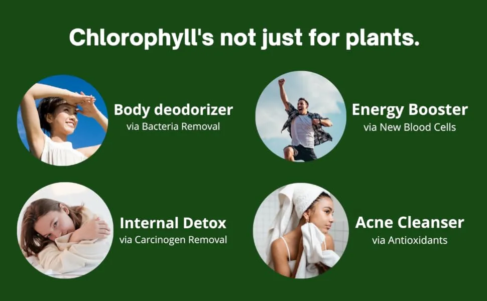 Chlorophyll Gummies  Energy Boost | Immune System Support | Internal Deodorant | With Ashwagandha | 0 Sugar, Vegan, 50% More Potent than (Pills, Liquid, Water Drops, Tablets, or Capsules) Apple Taste - Body deodorizer, energy boost, internal detox, acne cleanser