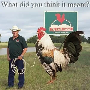 Chicken Shit Poultry Seasoning - product information 2