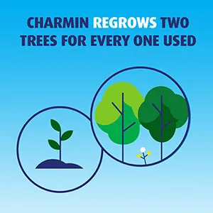 Charmin Ultra Strong Toilet Paper 18 Super Mega Rolls, 363 Sheets Per Roll (Packaging May Vary) 18 - Super Mega Roll - Reforestation