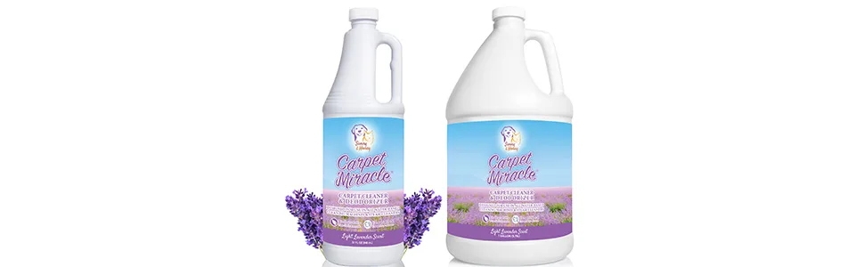 Carpet Miracle - Carpet Cleaner Solution Shampoo for Machine Use, Deep Stain Remover and Odor Deodorizing Formula, Use On Rug Car Upholstery and Carpets (Light Lavender Scent, 32FL OZ) Lavender 32 Fl Oz (Pack of 1) - carpet miracle sunny honey cleaner solution dog cat rug car upholstery cleaning stain remover