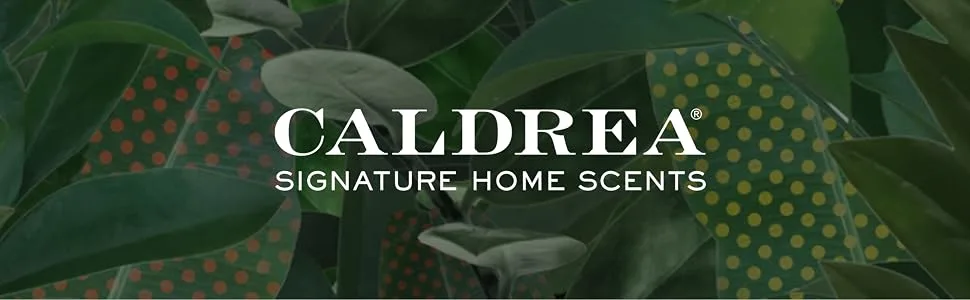 Caldrea Multi-surface CounterTop Spray Cleaner, Made With Vegetable Protein Extract, Pear Blossom Agave Scent, 16 Oz - Caldrea Aromatherapeutic Living