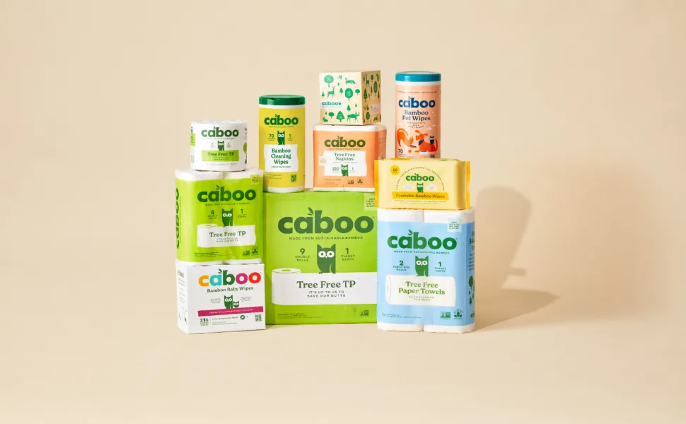 Caboo Tree Free Bamboo Toilet Paper, Septic Safe, Biodegradable, Eco Friendly Bath Tissue with Soft, Quick Dissolving 2 Ply Sheets (300 Sheets Per Roll, 24 Double Rolls) 24 Count (Pack of 1) - 8688 x 5792