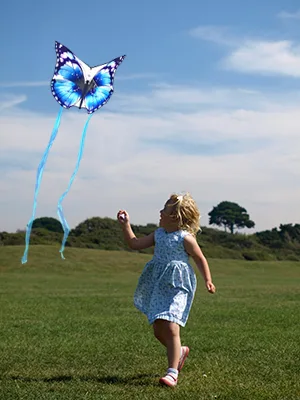 Butterfly Kite Pink - kites for kids