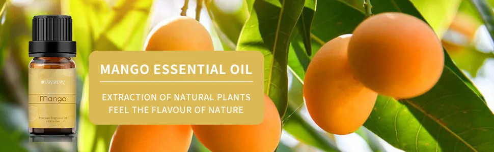 BURIBURI Mango Essential Oil, Premium Grade Scented Oil 10ml Fragrance Oil for Diffusers, Candle Making - BURIBURI Mango Essential Oil