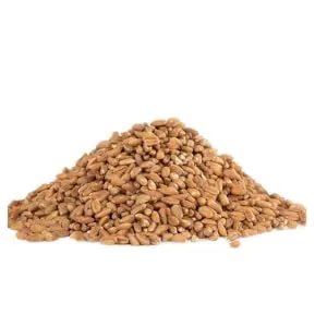 Bobs Red Mill Grain Farro 24 OZ - product information 3