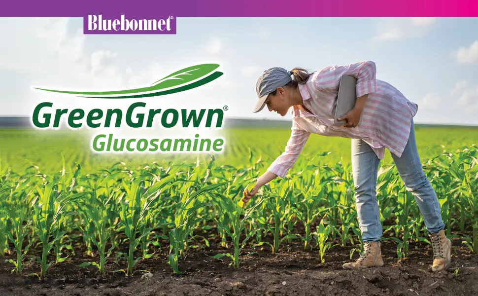 BlueBonnet Vegetarian Glucosamine Plus MSM Supplement, 120 Count ('743715011151) 120 Count (Pack of 1) - Green Grown Glucosamine