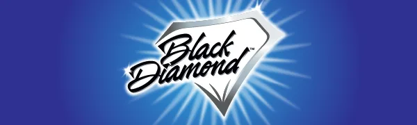 Black Diamond Stoneworks GRANITE PLUS! 2 in 1 Cleaner & Sealer for Granite, Marble, Travertine, Limestone, Ready to Use! (1-Quart) 1 Quart - LOGO BLACK DIAMOND