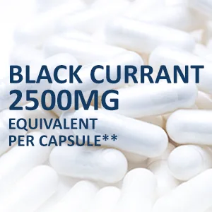 Black Currant Oil 2500 Mg 200 Veggie Capsules (Powder, Vegan, Non-GMO & Gluten-Free) . - TILE_3