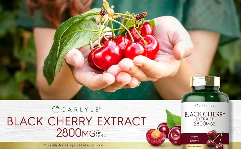 Black Cherry Extract Concentrate | 2800 mg | 240 Capsules | Non-GMO and Gluten Free Formula | Prunus Serotina Supplement | by Carlyle - Black Cherry