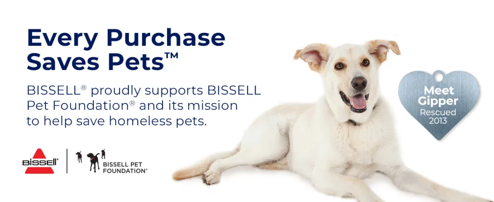Bissell Woolite Advanced Stain & Odor Remover + Sanitize, 22floz, Wb, 22 Fluid Ounces - Woolite sanitize pet stain remover spot clean