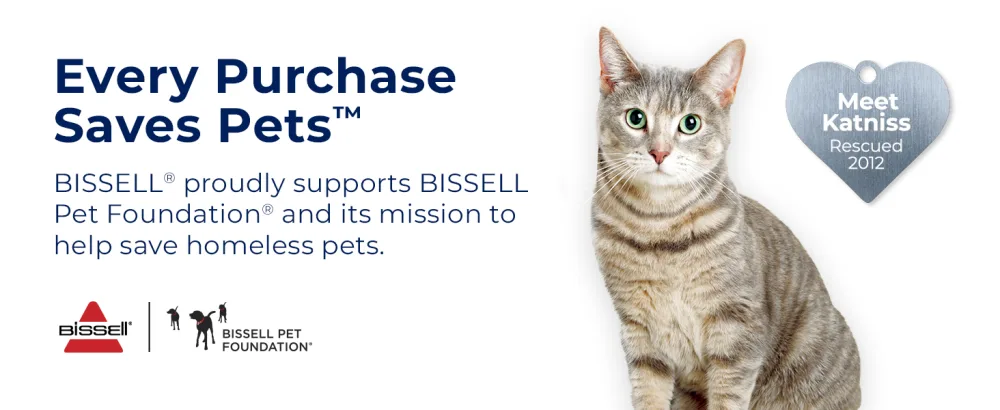 Bissell Pet Stain & Odor Plus Antibacterial 2 in 1 Carpet Formula, 1567, 40 Fl Oz - Formula