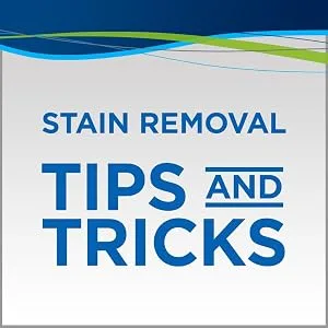 BISSELL Oxy Stain Destroyer Pet Plus Pretreat, 1773, 22 oz - product information 5
