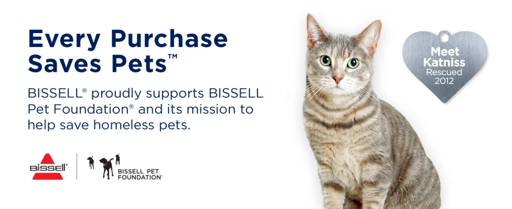 BISSELL 2X Pet Stain & Odor Full Size Machine Formula, 48 ounces, 99K57 - spot and stain formula, carpet shampoo, carpet cleaner, carpet cleaner formula, stain remover