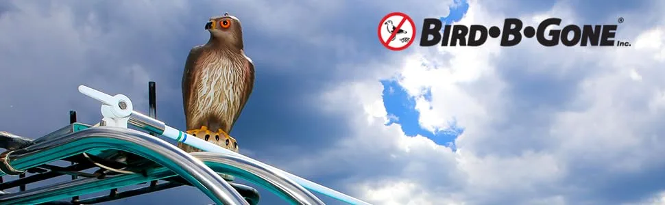 Bird B Gone MMRTH1 Hawk Decoy - BIRD DETERRENT, BIRD CONTROL