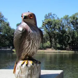 Bird B Gone MMRTH1 Hawk Decoy - BIRD DETERRENT, BIRD CONTROL