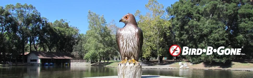Bird B Gone MMRTH1 Hawk Decoy - BIRD DETERRENT, BIRD CONTROL