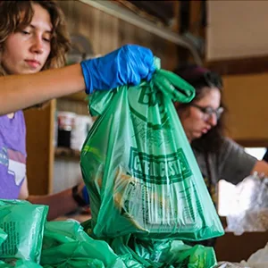 BioBag (USA), The Original Compostable Bag, 13 Gallon, 48 Total Count, 100% Certified Compostable Kitchen Food Scrap Bags, Kitchen Compost Trash Bin Compatible Green 48 Count (Pack of 1) - BioBag Composting Bag with Handles
