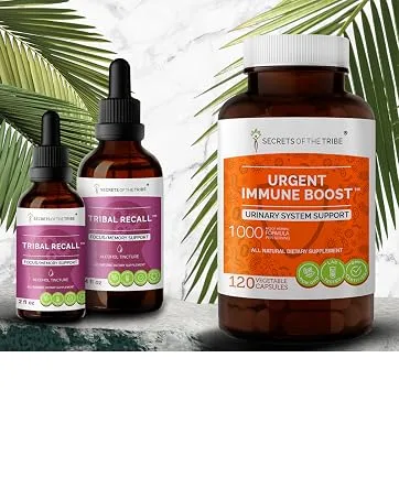 Bilberry Fruit Alcohol-Free Liquid Extract, Bilberry (Vaccinium Myrtillus) Dried Fruit Tincture Supplement (4 FL OZ) 4 Fl Oz (Pack of 1) - product information 3