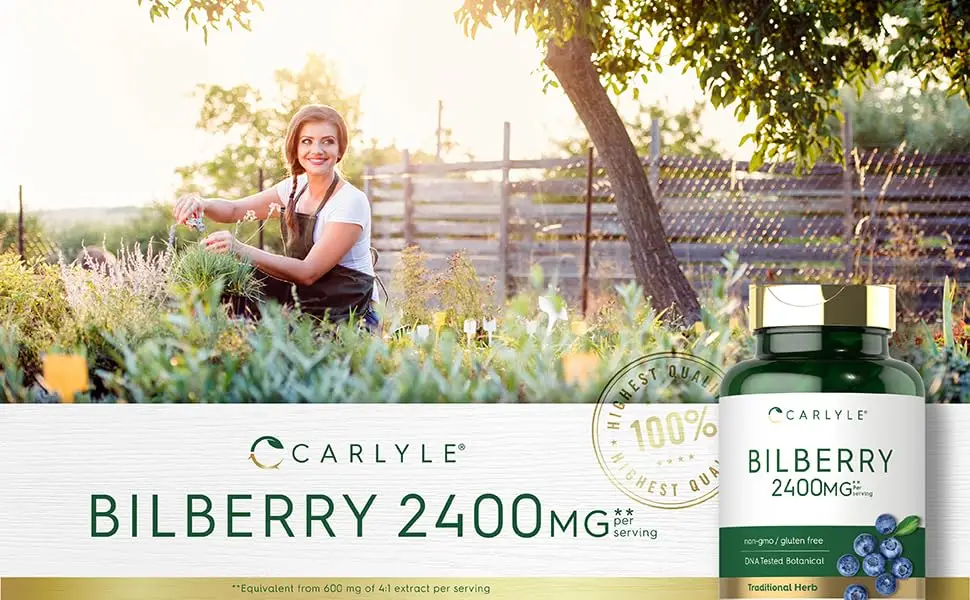 Bilberry Extract Capsules | 2400mg | 200 Count | Vegetarian, Non-GMO, Gluten Free Fruit Supplement | by Carlyle - hero