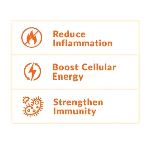 Better Turmeric Inflammation Supplement for Extra Strength Joint Support, Featuring HydroCurc Turmeric Curcumin with Black Pepper, Garlic Extract Supplement, Force Factor, 60 Soft Chews 60 Count (Pack of 1) - Reduce Inflammation, Boost Cellular Energy, Strengthen Immunity