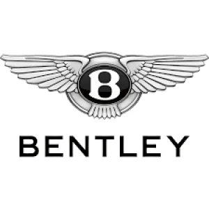 Bentley Intense B140408 Eau de Parfum, 3.4 Fluid Ounce 3.4 Fl Oz (Pack of 1) - Bentley