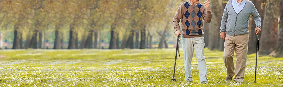 BeneCane Walking Cane Adjustable Cane Flexible Walking Cane with LED Light Lightweight Sturdy Portable Walking Stick - Balancing Mobility Aid for Men Women Seniors Comfortable Handle(Pink) black - product information 15