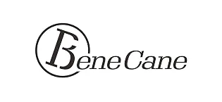 BeneCane Quad Cane Adjustable Walking Cane with Offset Soft Cushioned Handle for Men & Women Lightweight Comfortable with 4-Pronged feet for Extra Stability black - product information 10